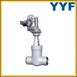 C12A Butt Welded Gate Valve