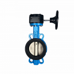 Cryogenic butterfly valve